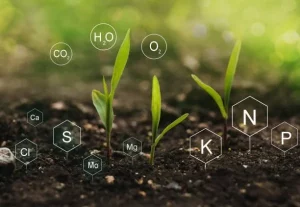 Iran fertilizers Market