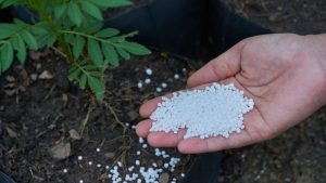 Iran urea production at a modern petrochemical plant with 46% nitrogen fertilizer output.